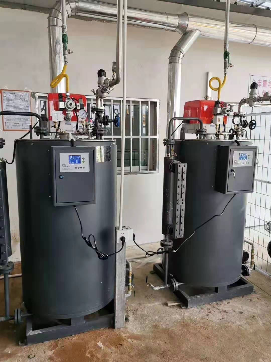carrybrewtechgassteam boiler generator