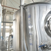 300L Brite Tank Dual Lagering Tank Stackable BBT