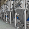 400L Fermentation Tank Unitank
