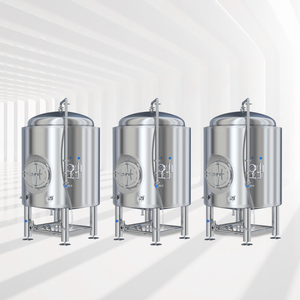 500L 800L 1000L 1500L Stainless Steel Bright Beer Tank 
