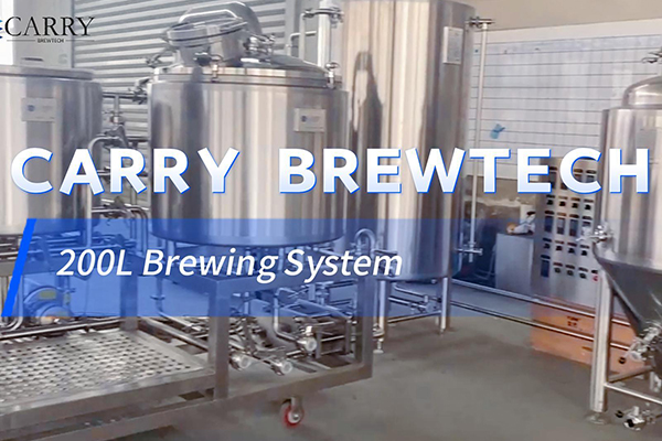 Congratulations CARRY Customized 200L Complete brewery system is on the way to Africa