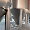400L Fermentation Tank Unitank