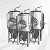 Tanque de Fermentación de Cerveza de 500 L