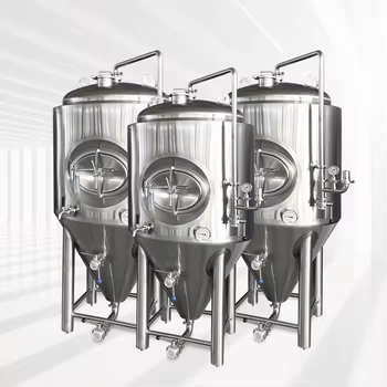 Tanque de Fermentación de Cerveza de 500 L