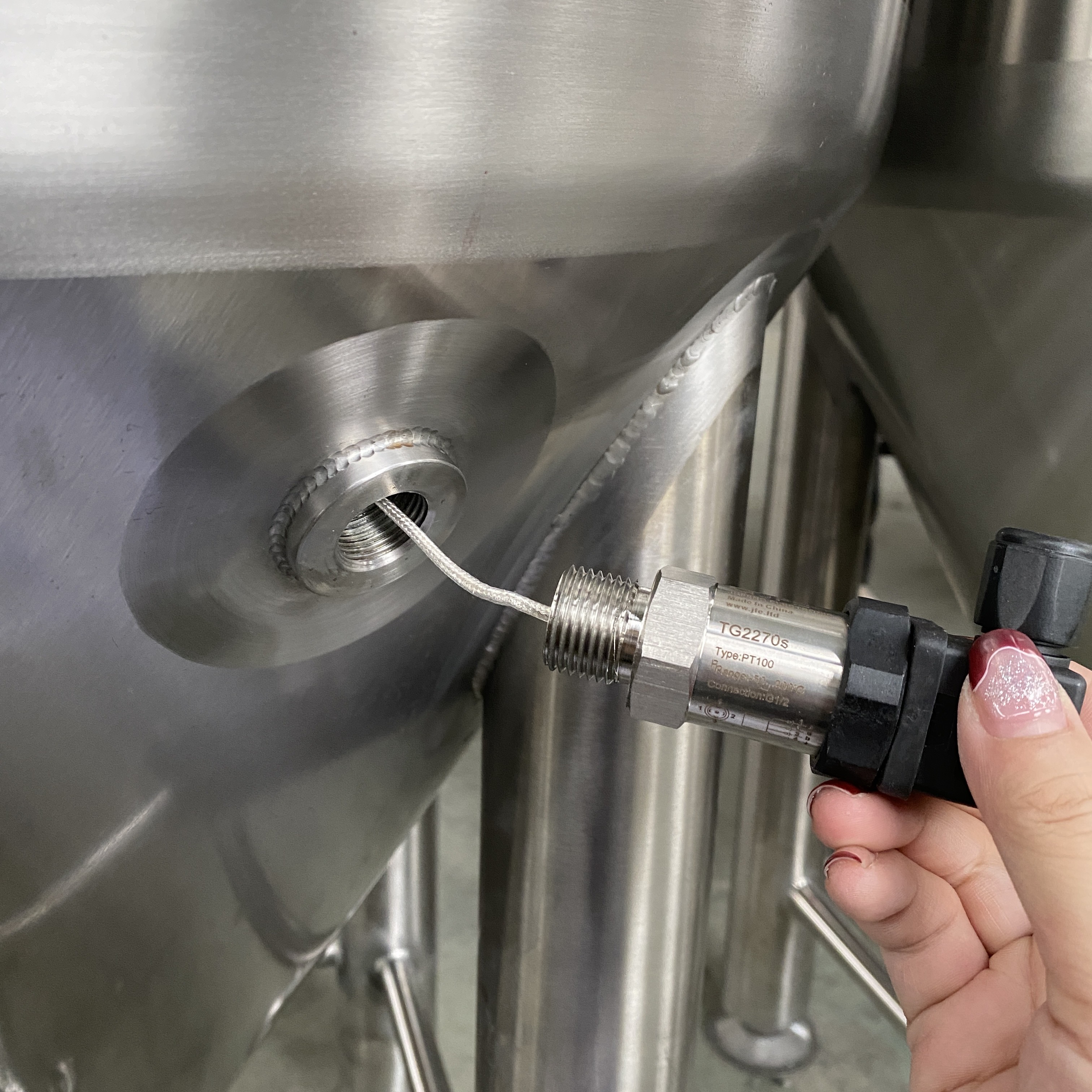 Temperature Probe with PT-100.JPG