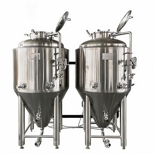 Tanque de Fermentación de Cerveza de 200 L