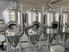 Tanque de Fermentación de Cerveza de 500 L